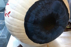 blue-eye-ball