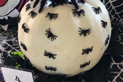 Pumpkin-4